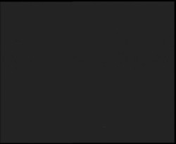 Nástup na běžecké tratě