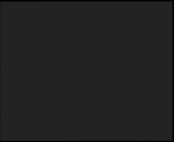 Nástup na běžecké tratě