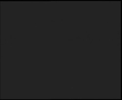 Nástup na běžecké tratě