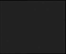 Nástup na běžecké tratě