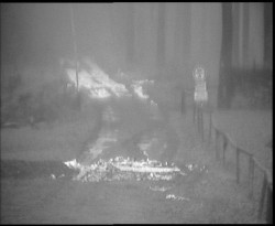 Nástup na běžecké tratě