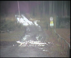 Nástup na běžecké tratě