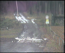 Nástup na běžecké tratě