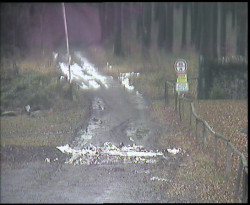 Nástup na běžecké tratě