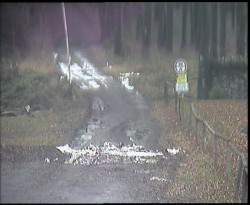 Nástup na běžecké tratě