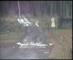 Nástup na běžecké tratě