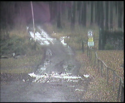 Nástup na běžecké tratě