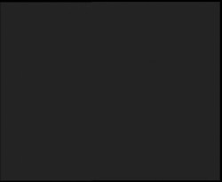 Nástup na běžecké tratě