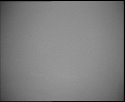 Nástup na běžecké tratě