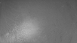 Nástup na běžecké tratě