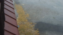 Nástup na běžecké tratě