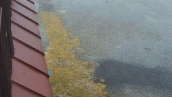 Nástup na běžecké tratě