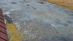 Nástup na běžecké tratě