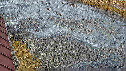 Nástup na běžecké tratě