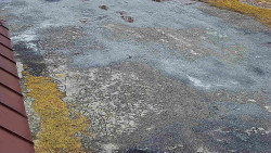 Nástup na běžecké tratě