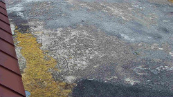 Nástup na běžecké tratě