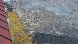 Nástup na běžecké tratě