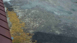 Nástup na běžecké tratě