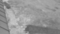 Nástup na běžecké tratě