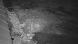 Nástup na běžecké tratě