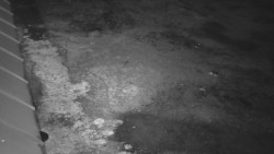 Nástup na běžecké tratě