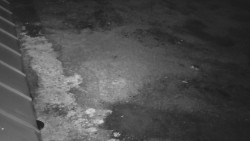 Nástup na běžecké tratě