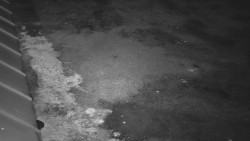 Nástup na běžecké tratě