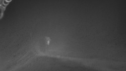 Nástup na běžecké tratě