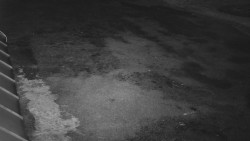 Nástup na běžecké tratě