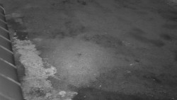 Nástup na běžecké tratě