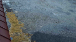 Nástup na běžecké tratě