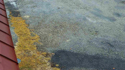 Nástup na běžecké tratě