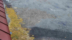 Nástup na běžecké tratě