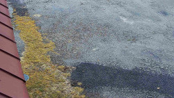 Nástup na běžecké tratě