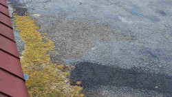 Nástup na běžecké tratě