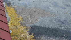 Nástup na běžecké tratě