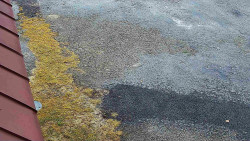 Nástup na běžecké tratě