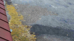 Nástup na běžecké tratě