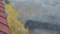 Nástup na běžecké tratě