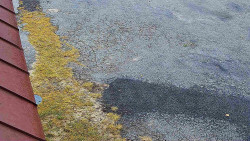 Nástup na běžecké tratě