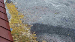 Nástup na běžecké tratě