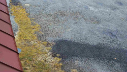 Nástup na běžecké tratě