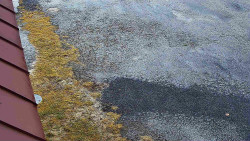 Nástup na běžecké tratě