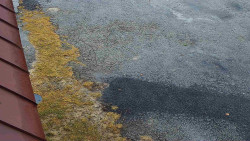 Nástup na běžecké tratě