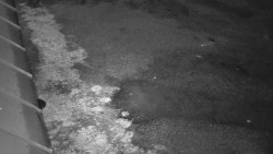 Nástup na běžecké tratě