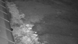 Nástup na běžecké tratě