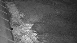 Nástup na běžecké tratě