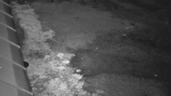 Nástup na běžecké tratě