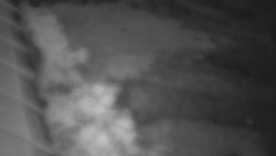 Nástup na běžecké tratě