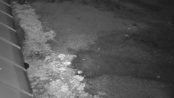 Nástup na běžecké tratě